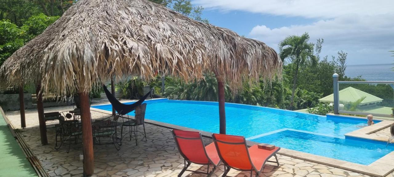 Villa Dream Deshaies Bagian luar foto
