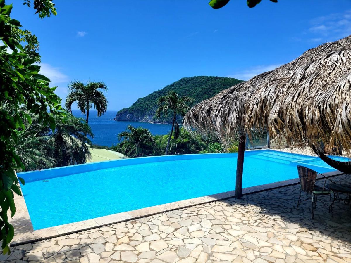 Villa Dream Deshaies Bagian luar foto