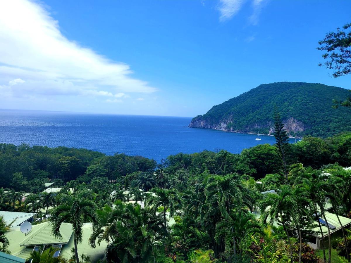 Villa Dream Deshaies Bagian luar foto